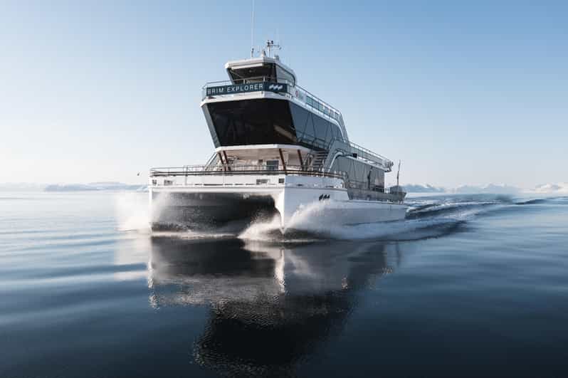 Bodø: Northern Lights Cruise - Should you book the Bodø Northern Lights Cruise?