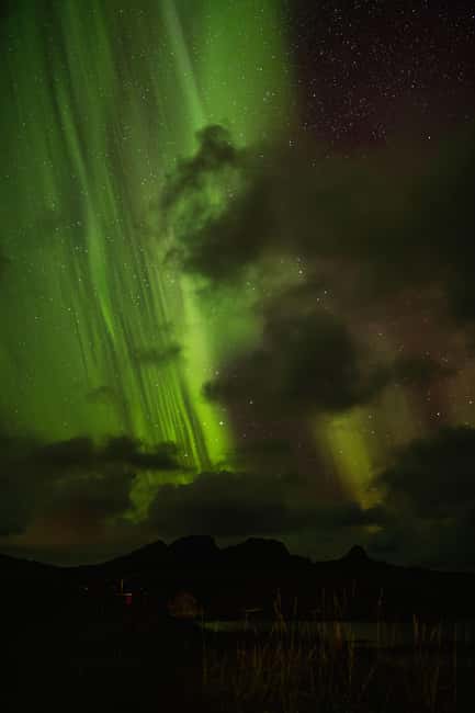 Bodø: Northern Lights safari - Leaving Bodø’s city lights behind