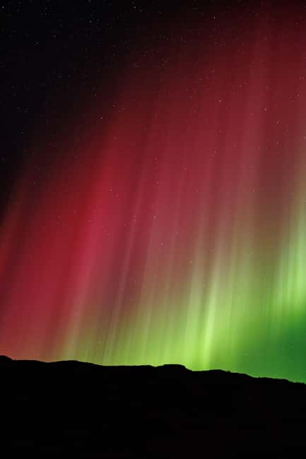 Bodø: Northern Lights safari - Who will enjoy this outing most