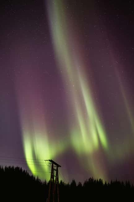Bodø: Northern Lights safari - Practical details at the Radisson Blu Hotel