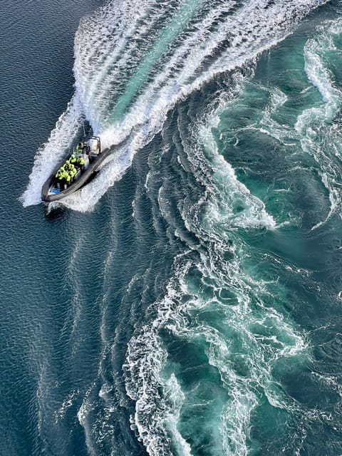Bodø: Saltstraumen RIB Safari - What the RIB ride feels like