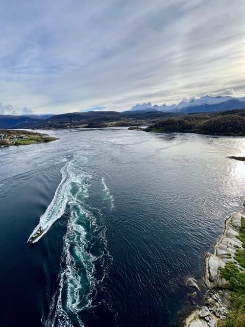 Bodø: Saltstraumen RIB Safari - Saltstraumen and its smaller companion
