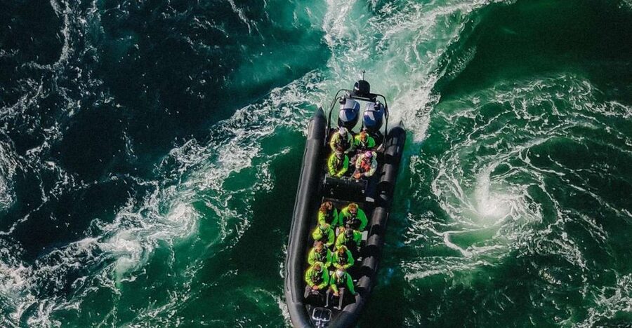 Bodø: Saltstraumen Sea Eagle Trip by RIB - Key points to know before you book