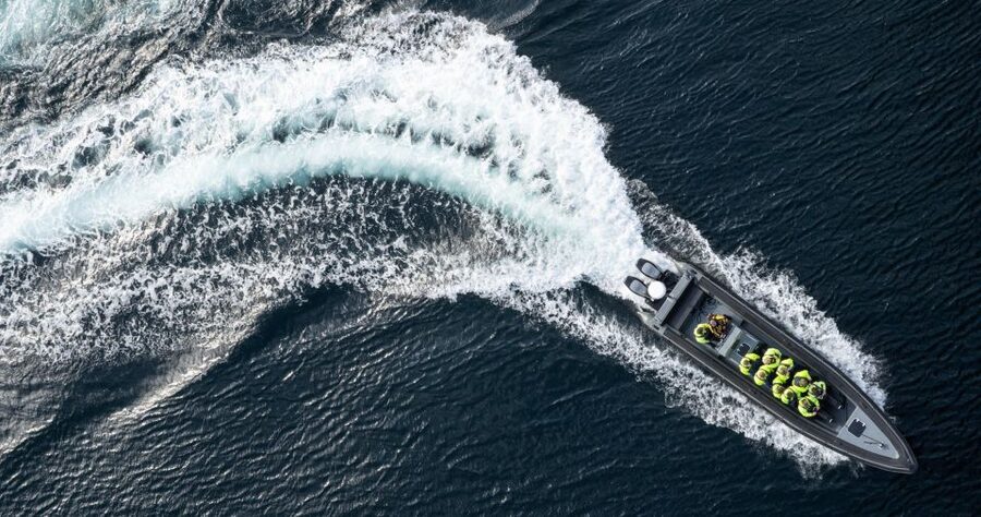 Bodø: Saltstraumen Sea Eagle Trip by RIB - Why the eagles make this Bodø trip special