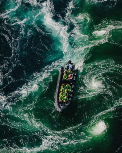 Saltstraumen Sea Eagle Trip by RIB