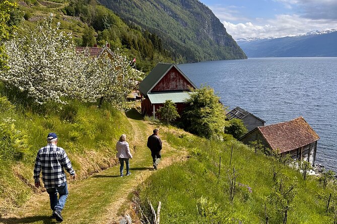 Briksdal Glacier and Loen Skylift day Excursion - The return through Loen Valley