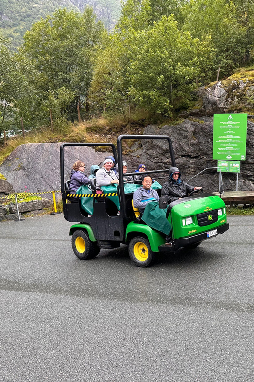 Briksdal Glacier and Loen Skylift Tour with Transfer - Two classic Olden sights, joined by private transport