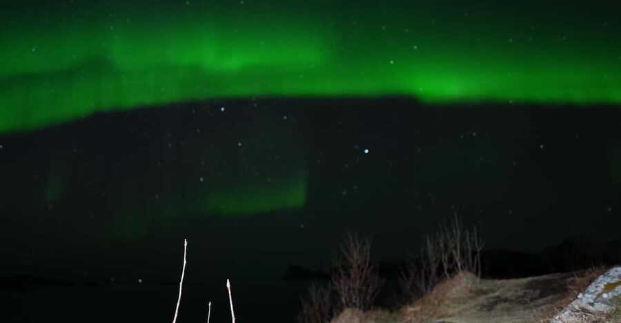Chase the Magic of the Northern Lights in Tromsø Norway - Key points to know before booking
