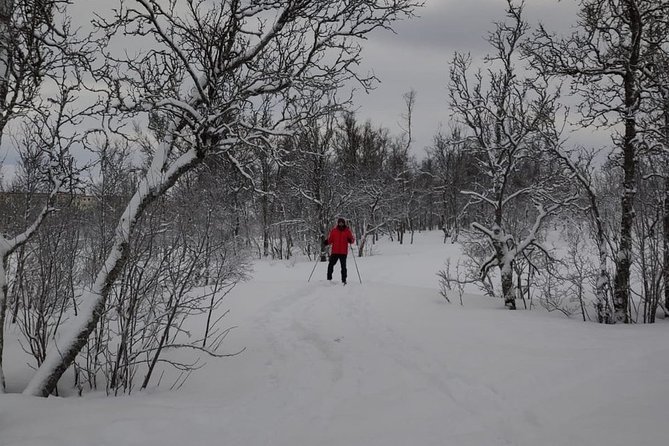 Cross-Country Ski Lesson for Beginners in Tromso - What the $134.97 price really covers