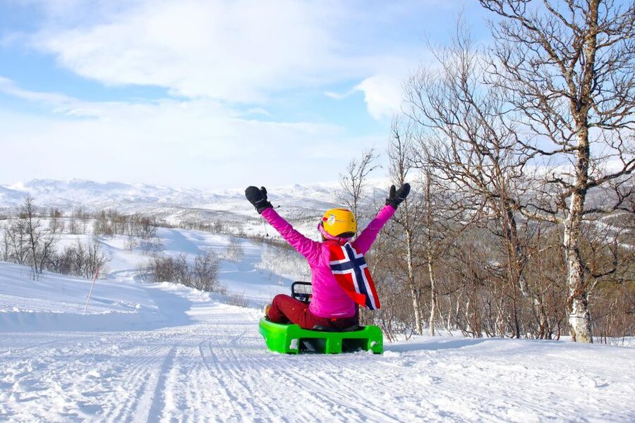 Dagali: 2-Hour Racing Toboggan Adventure - Key points at a glance