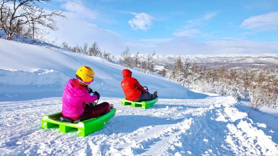 Dagali: 2-Hour Racing Toboggan Adventure - Speed, scenery, and the family question