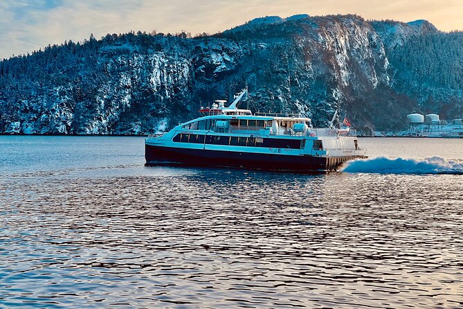 Discover Bergen on Foot and Boat - Festplassen and Torgallmenningen