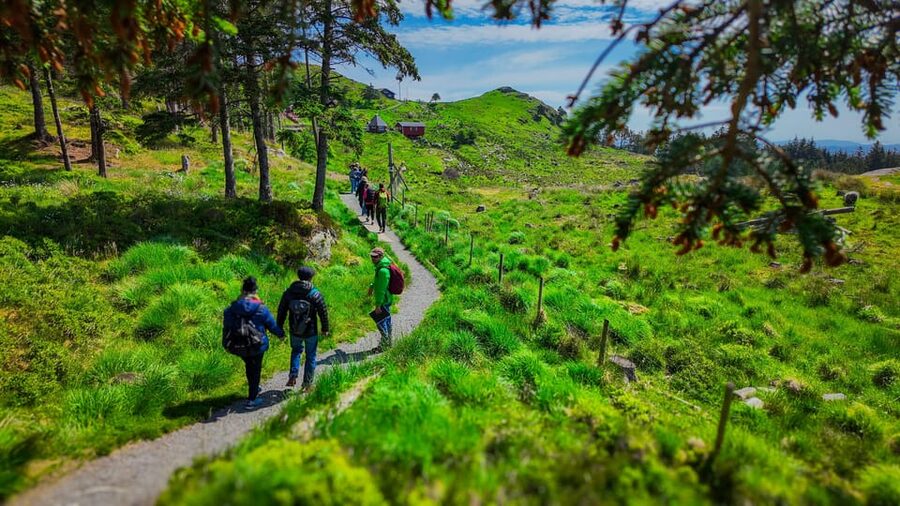 Discover Haugesund and visit a local mountain farmer - Starting at Haugesund Cruisehavn