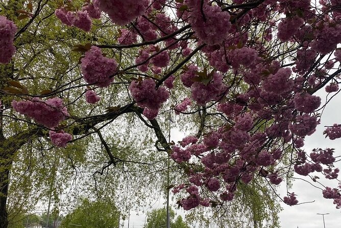 Discover Oslo on foot - Who will enjoy this Oslo walk most