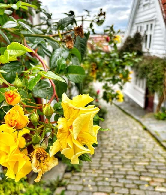 Discover Private+ Stavanger Guided City Tour - A flexible way to meet Stavanger