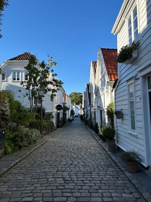 Discover Private+ Stavanger Guided City Tour - My practical booking advice