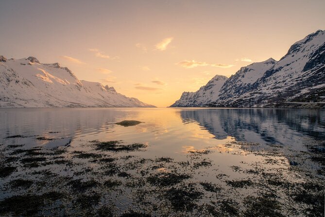 Discover the Fjords of Kvaloya - a roadtrip along fjords and fishing villages - Why Kvaløya is a smart half-day escape from Tromsø