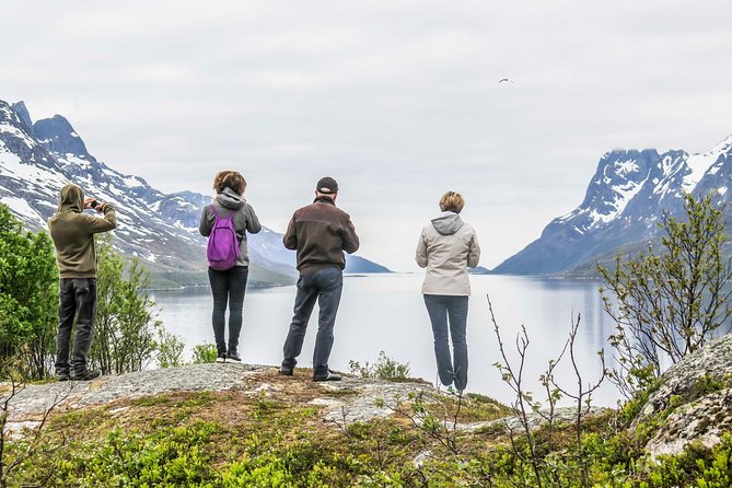Discover the Fjords of Kvaloya - a roadtrip along fjords and fishing villages - Ersfjordbotn and the Norwegian lunch