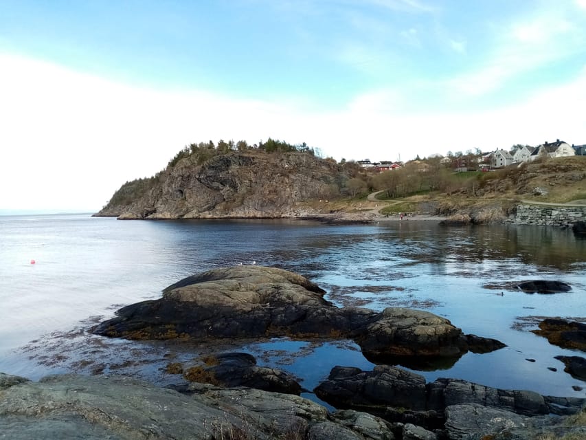 Discovery hike along the Trondheimsfjord - From Korsvika, the fjord comes first