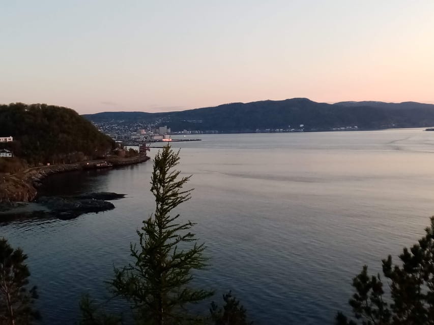 Discovery hike along the Trondheimsfjord - Gaël’s guiding style shapes the experience