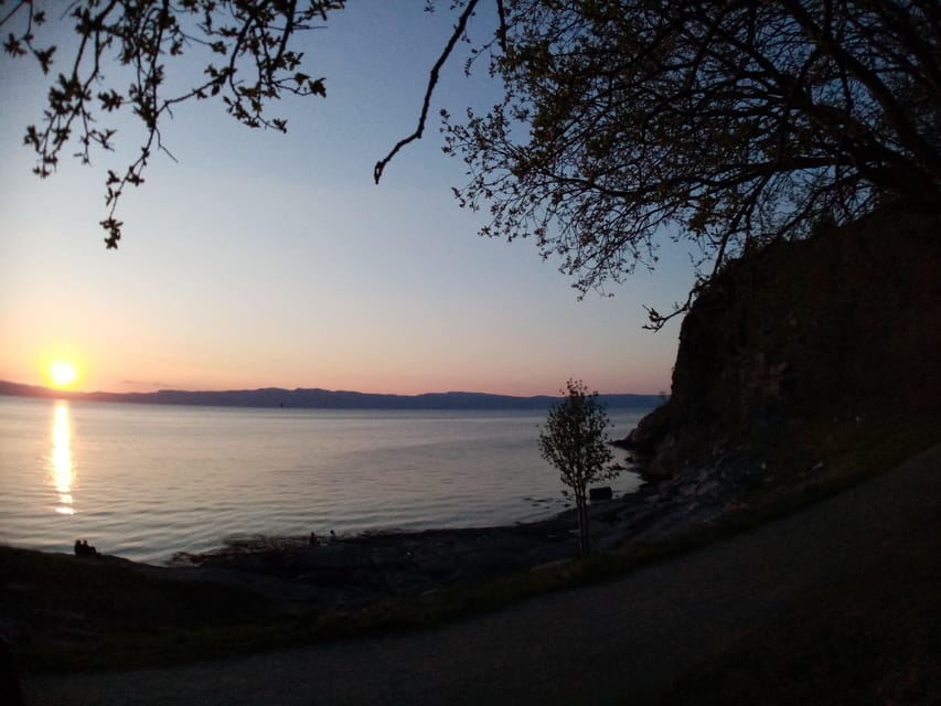 Discovery hike along the Trondheimsfjord - Who should book the 2.5-hour hike?