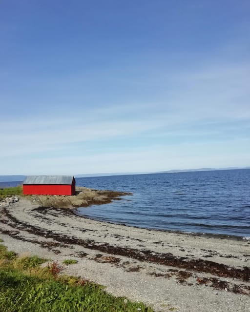 Discovery hike along the Trondheimsfjord - Østmarka’s bunker adds weight to the scenery