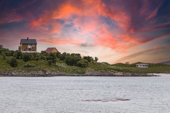 Discovery tour of the island of Senja and Kvaløya from Tromsø - Small-group transport makes a difference