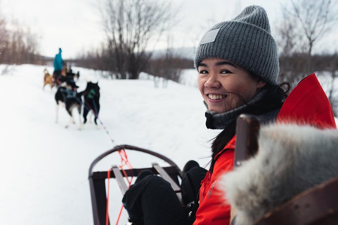 Dog Sled Tour and Husky Cuddles - Getting Ready at Holmen Husky