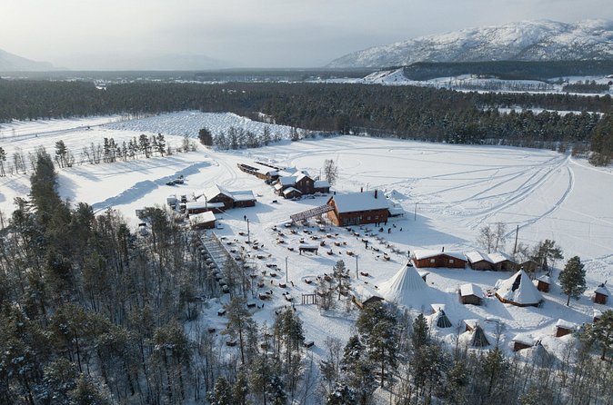 Dog Sled Tour and Husky Cuddles - Who Will Enjoy This Most