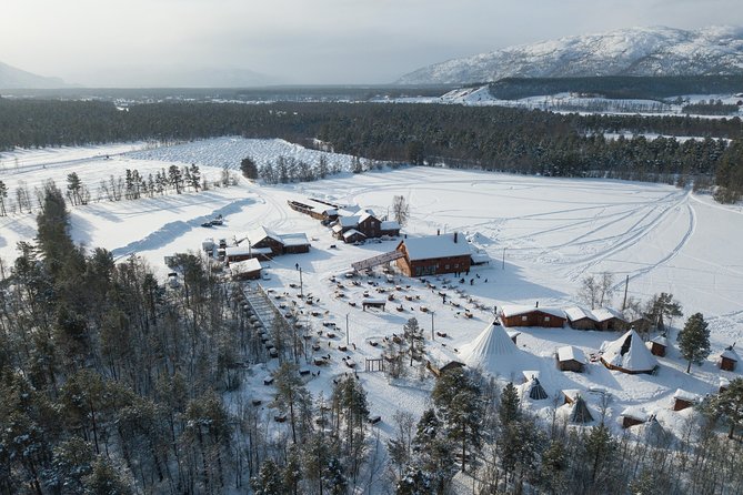 Dog Sled Tour and Husky Cuddles - Snowy Trees, River Views, and the Sound of Running Dogs