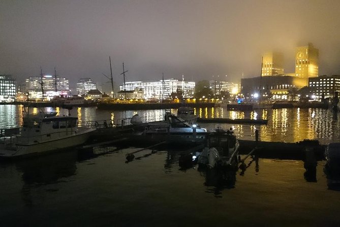 Downtown Oslo: Self-Guided Highlights and History Audio Tour - Who will get the most from this audio walk?