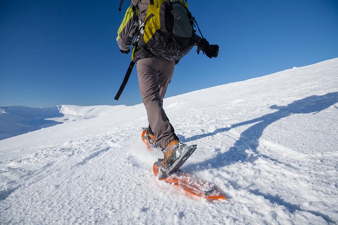 Eco friendly snowshoeing in Scenic Landscape - Starting at Scandic Ishavshotel