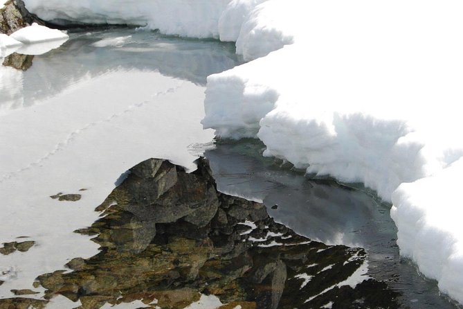 Eco friendly snowshoeing in Scenic Landscape - The Polar Museum and Tromso’s expedition story