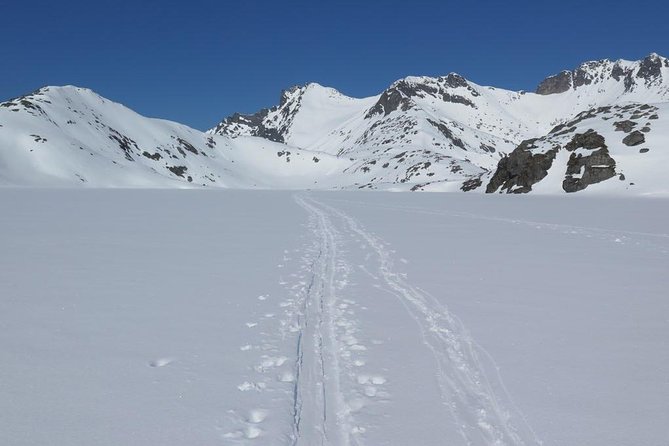 Eco friendly snowshoeing in Scenic Landscape - Polaria and Tromso’s marine world