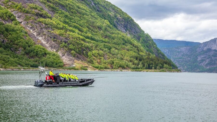 Eidfjord: 1-Hour Fjord RIB Tour - The Hardangerbrua option and a changing route
