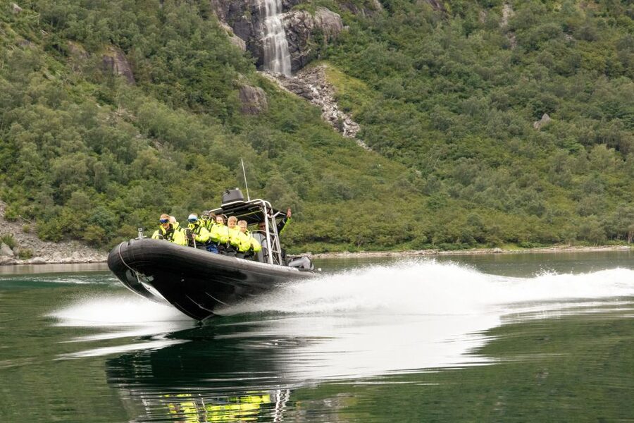 Eidfjord: 1-Hour Fjord RIB Tour - Wildlife watching on a one-hour schedule