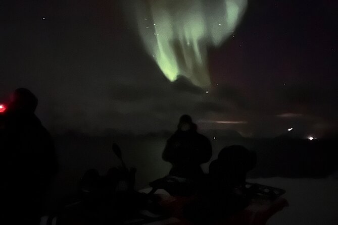 Evening Tour and Aurora Borealis Sightseeing in Norway by ATV - Is $257.24 per person good value?