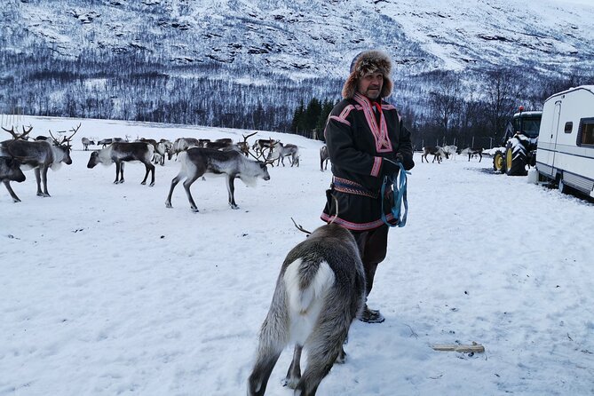 Exclusive Reindeers Experience in small groups, Tromso - What to wear for the snow
