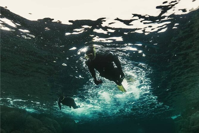 Family Snorkeling Tour - Why snorkeling in Lofoten feels different