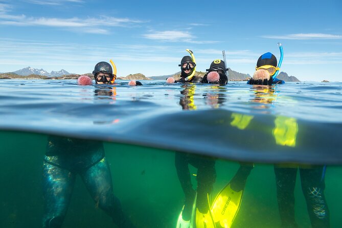 Family Snorkeling Tour - Taking the RIB boat to the snorkeling site