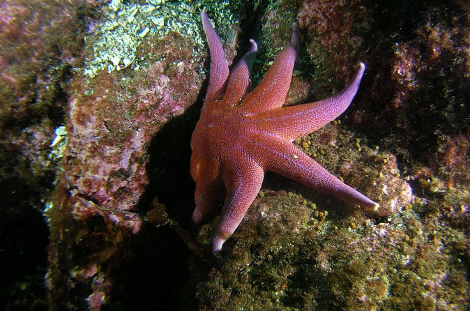 Family Snorkeling Tour - How the weather changes the outing