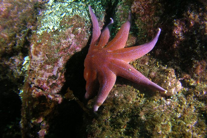 Family Snorkeling Tour - Who will enjoy this most