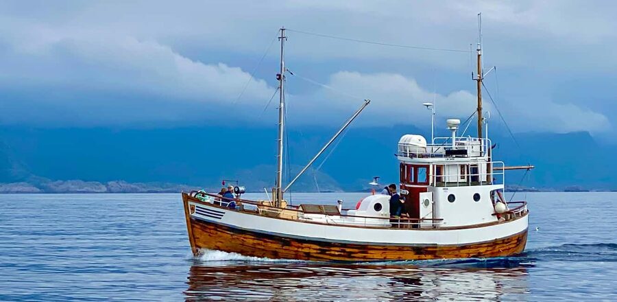 Fishing trip from Henningsvær - Sabina, a traditional boat with a real sense of place