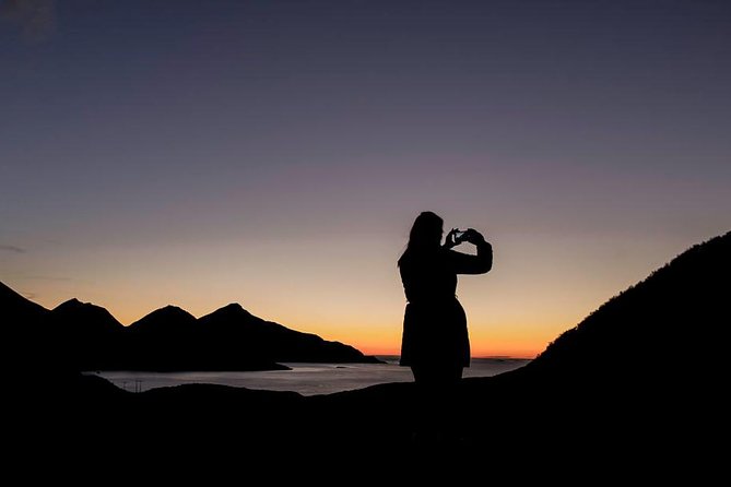 Fjord Expedition: Arctic Adventure Awaits - Quick points before you book