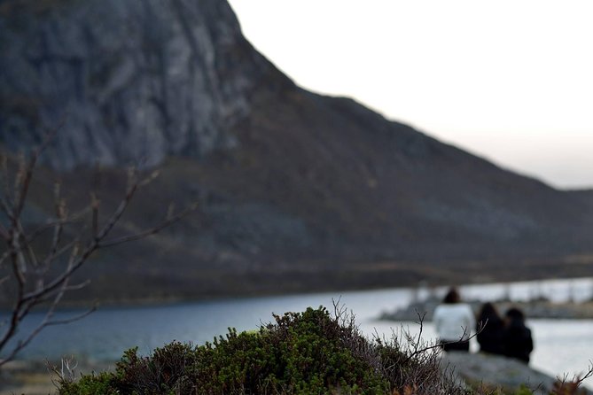Fjord Expedition: Arctic Adventure Awaits - Guides can shape the whole day
