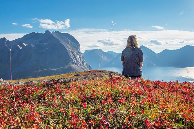 Fjord Expedition: Arctic Adventure Awaits - Food, drinks, and the minibus question