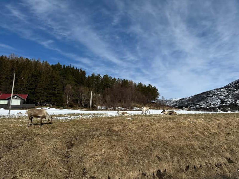 Fjord Foto Tour to Sommaroy (Roadtrip) - Sommarøy gives you time off the road