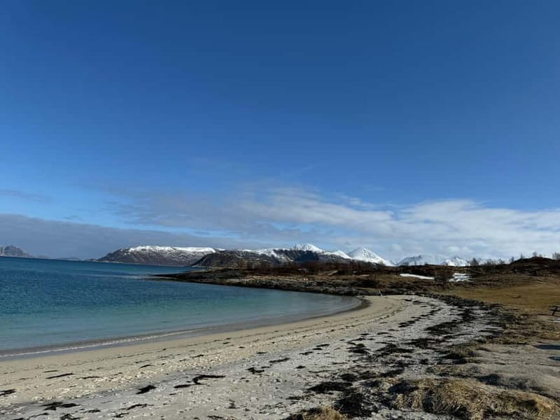 Fjord Foto Tour to Sommaroy (Roadtrip) - Is $159 a fair price?