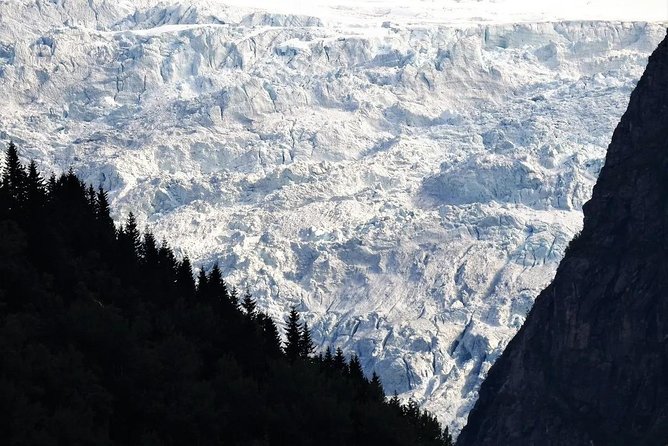 Fjord & Glacier Tour - From VOSS - Key points to know before you book