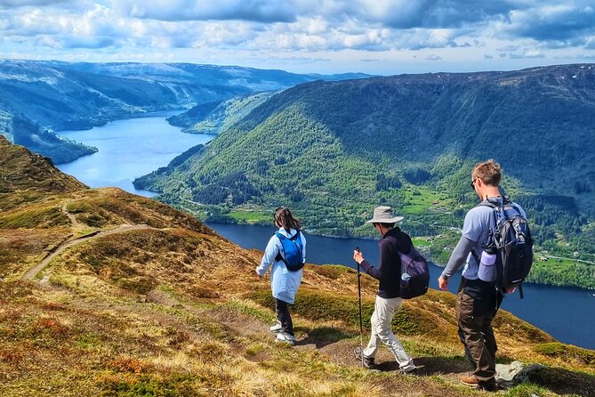 Fjord Hiking - Private tour - Choosing between Mt. Hananipa, Mt. Bruviknipa, and Mt. Arnanipa